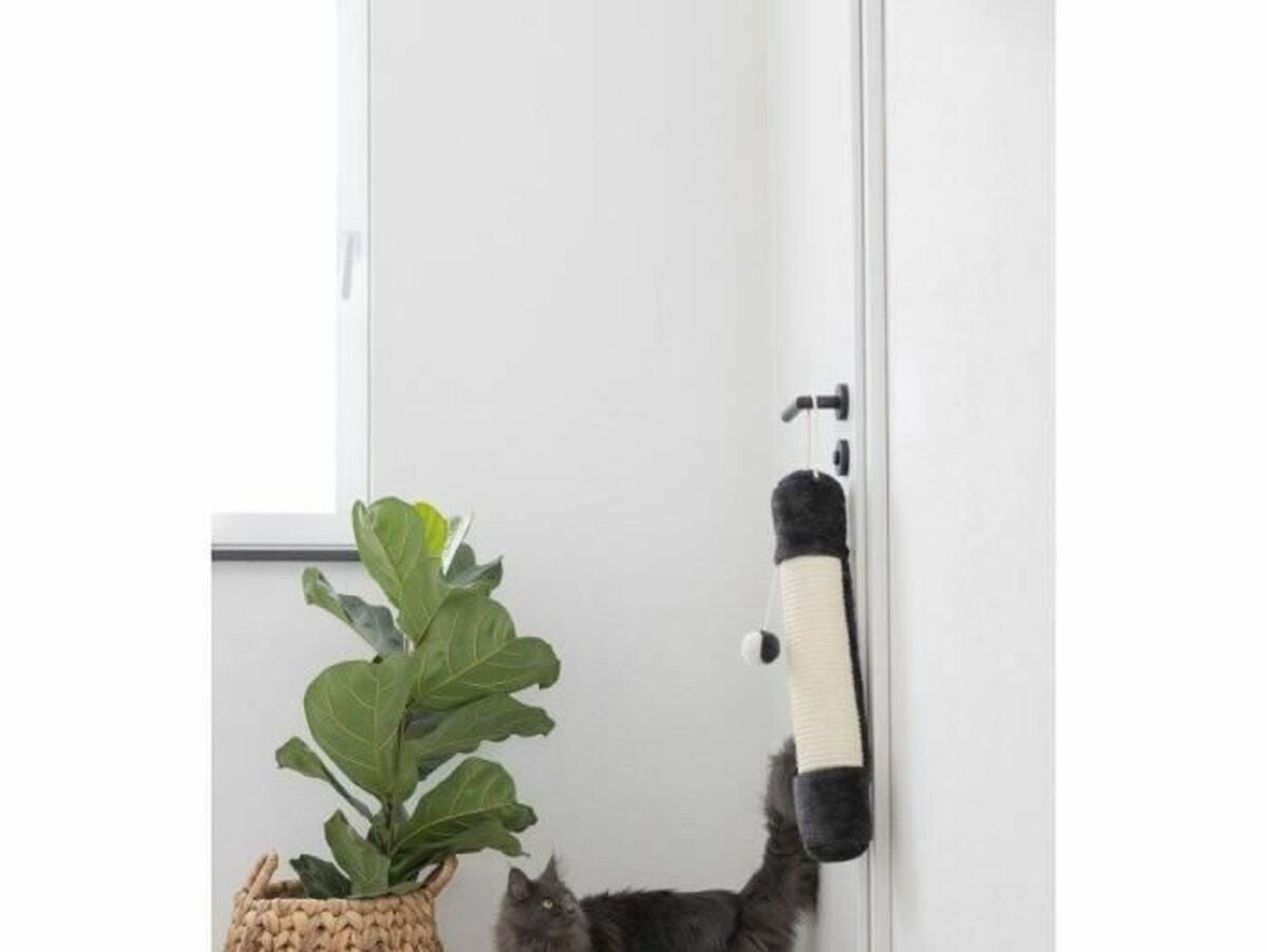 V8H57491F4C341994CB559F5D8BE8848D78R6576630P2