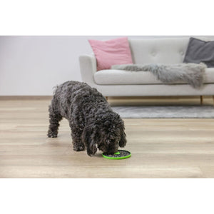 V2HD8A1FFE34295B4CBAA686ADE04D69E2FR7467556P9