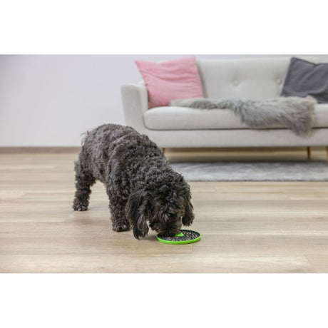 V2HD8A1FFE34295B4CBAA686ADE04D69E2FR7467556P9