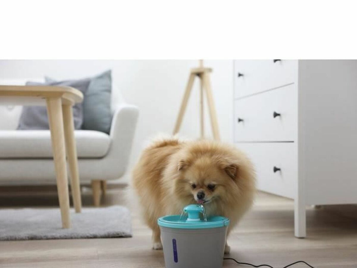 V8HE6EE18269EBE8F61A0A34962D8EEC32CR6641723P5