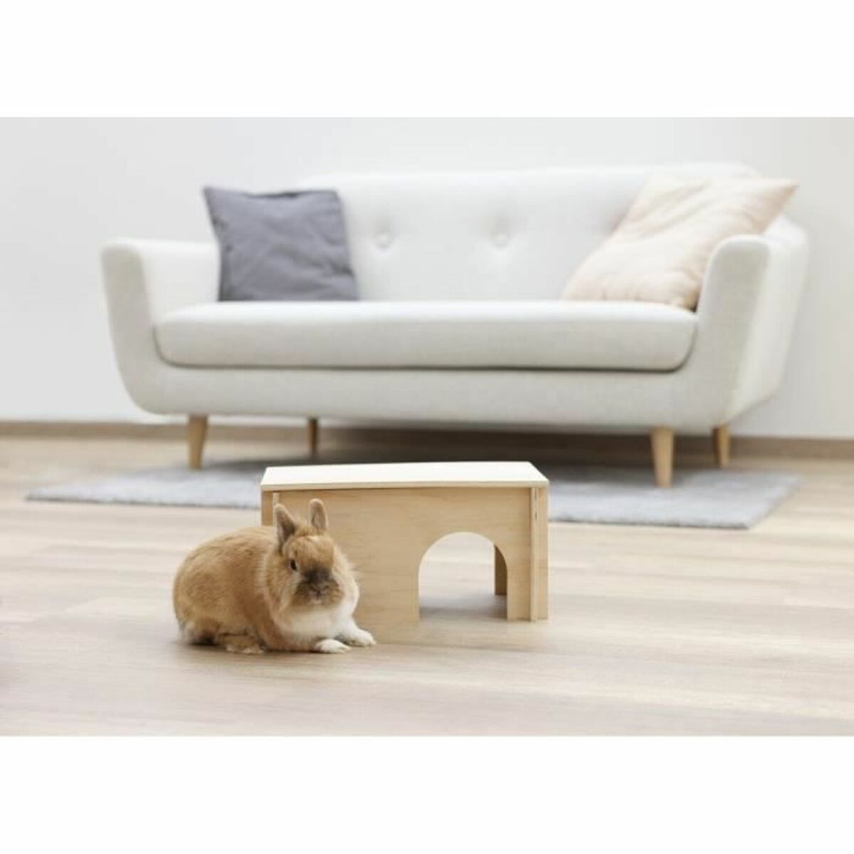 V8HA1485895CB91DA9F601ADB6F6F10F55BR6637544P3