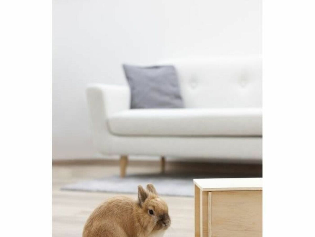 V10H3ECCC34F06ACD6701BA4DE8C4B8CB4AFR6637548P4