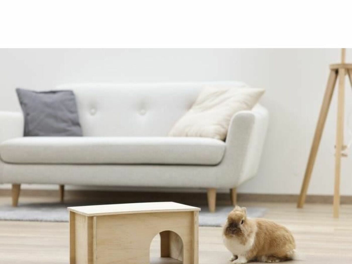 V10HDAA722684E3EDC0CCCC8145C55EA2759R6637552P5