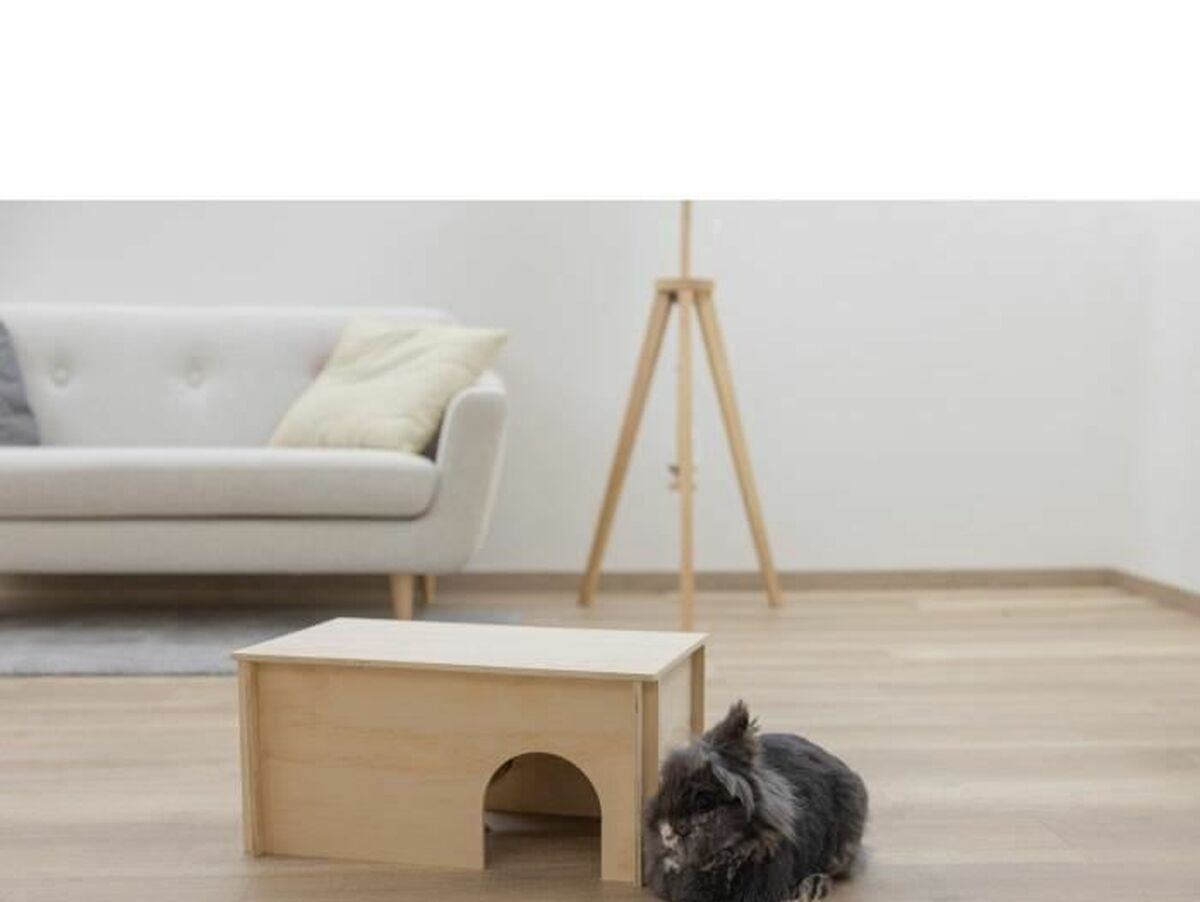 V2HD0851E06A57C3CC373BE5E66013A4C8DR7049233P3