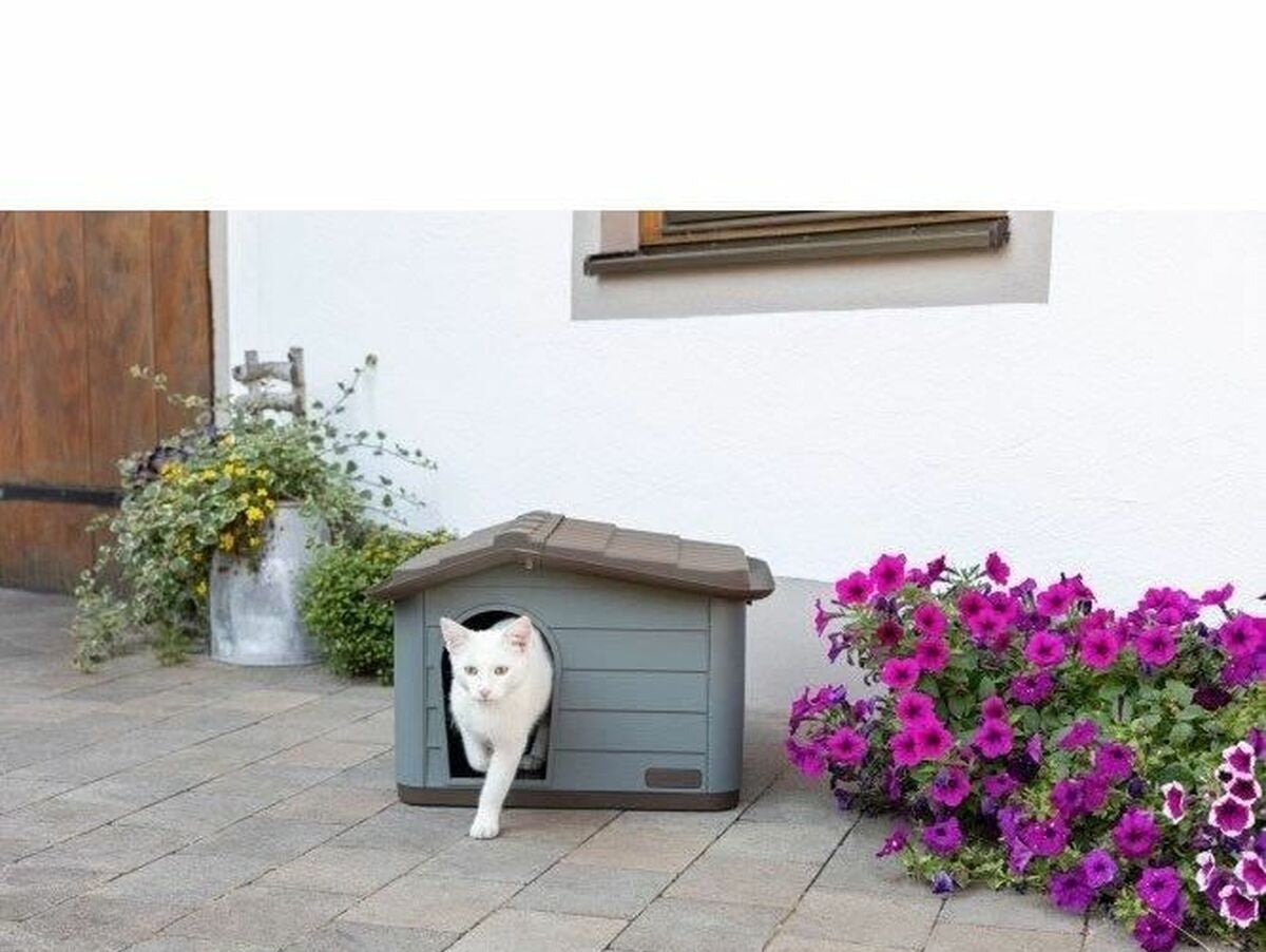 V7H70122B77E96D45F78106412AA2666DB1R6707093P4