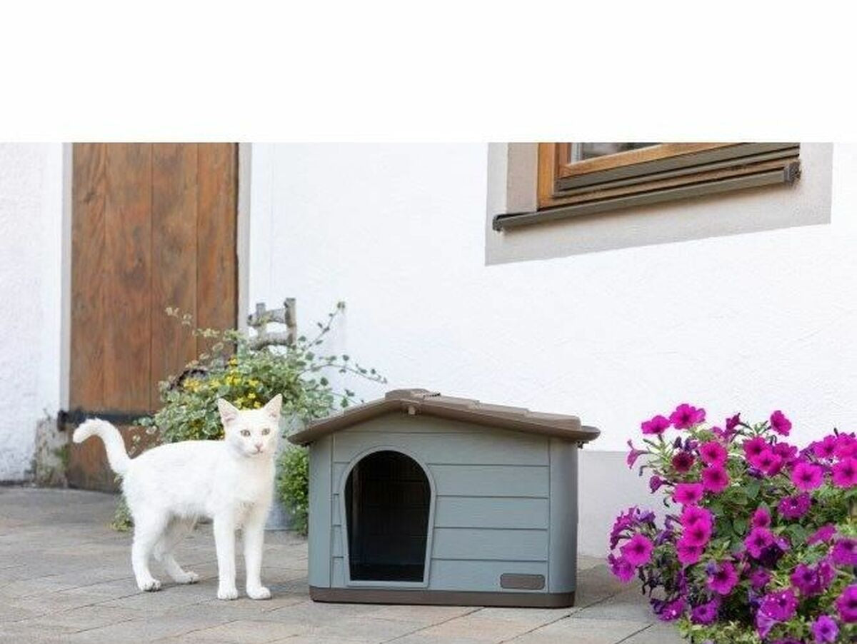 V7H98BE11A05F5571CFDF24006C71420E72R6707098P6