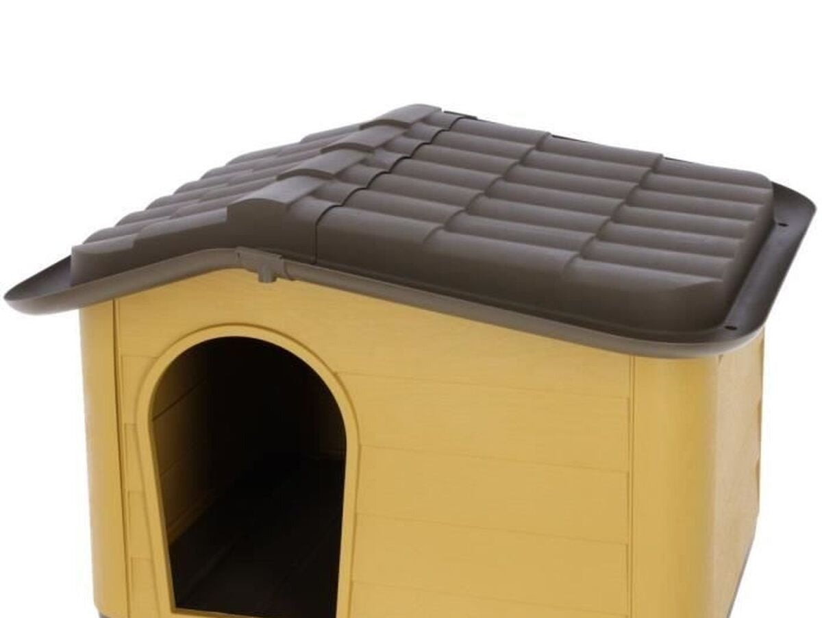 V2H98386B66CB3923802B01EA79D8A53099R7437096P1