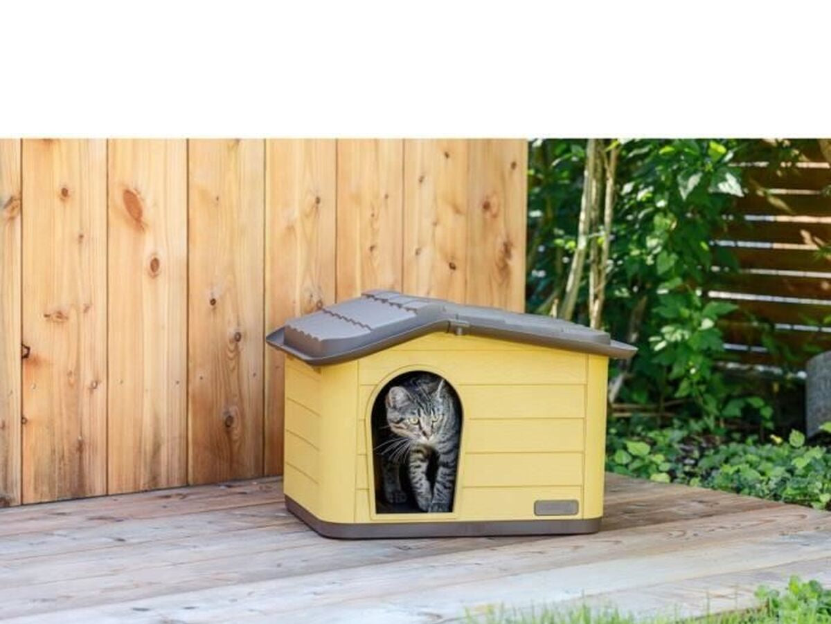 V2H39E49094DC2C002B2634DA28BB6DC576R7437109P10