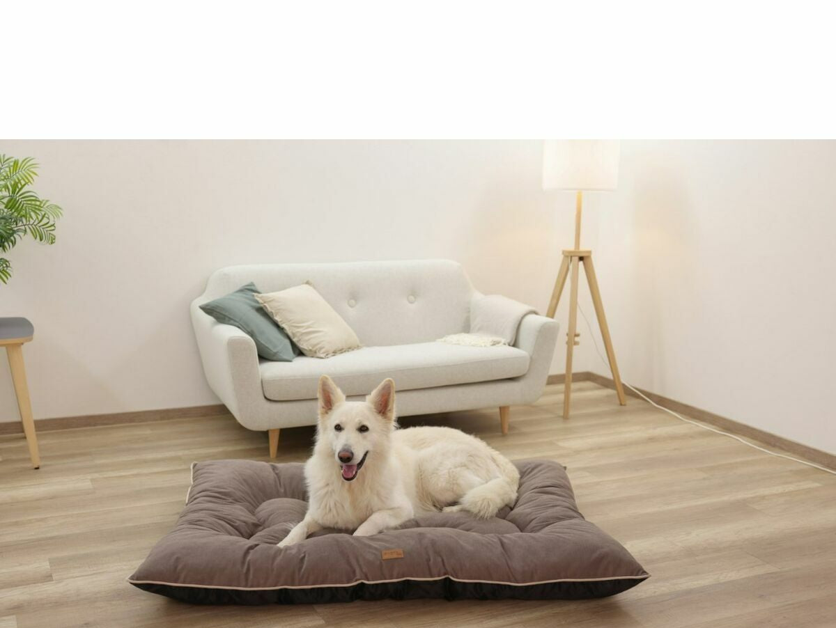 V2H856E2749730D4036DBA9467D7B2E2C72R7030726P6