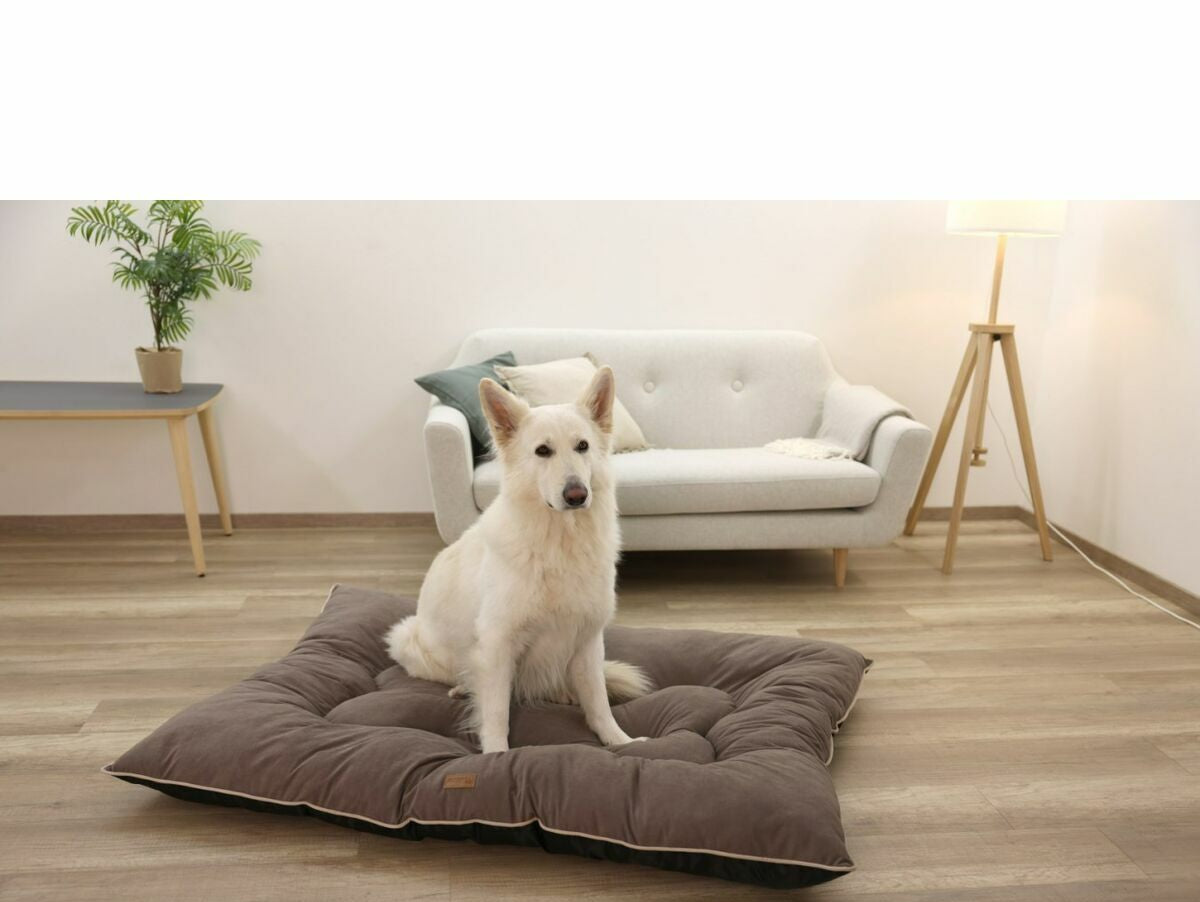 V2HBC4559B2332F6A456337D8FB8B46A607R7030729P8