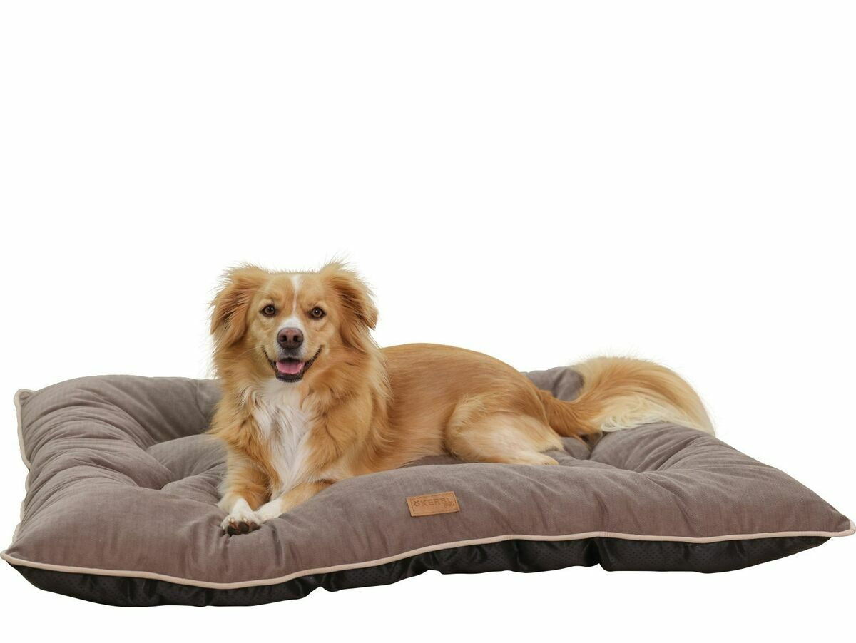 V6HF3C47509FA5E11C75A5667204F46C87CR5568350P3