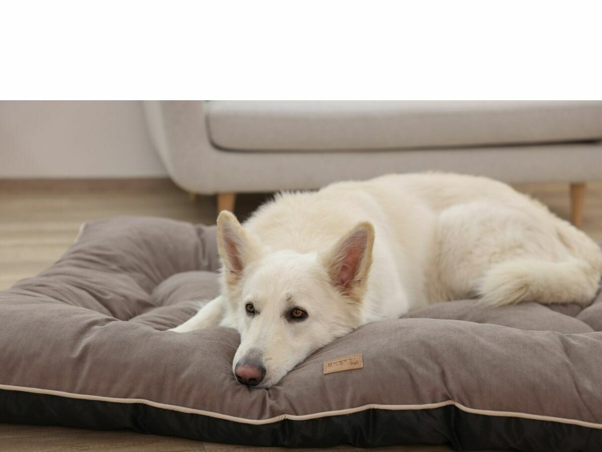 V6HBDEF7BCFA1C74D59964FADD944DD18ABR5568354P5