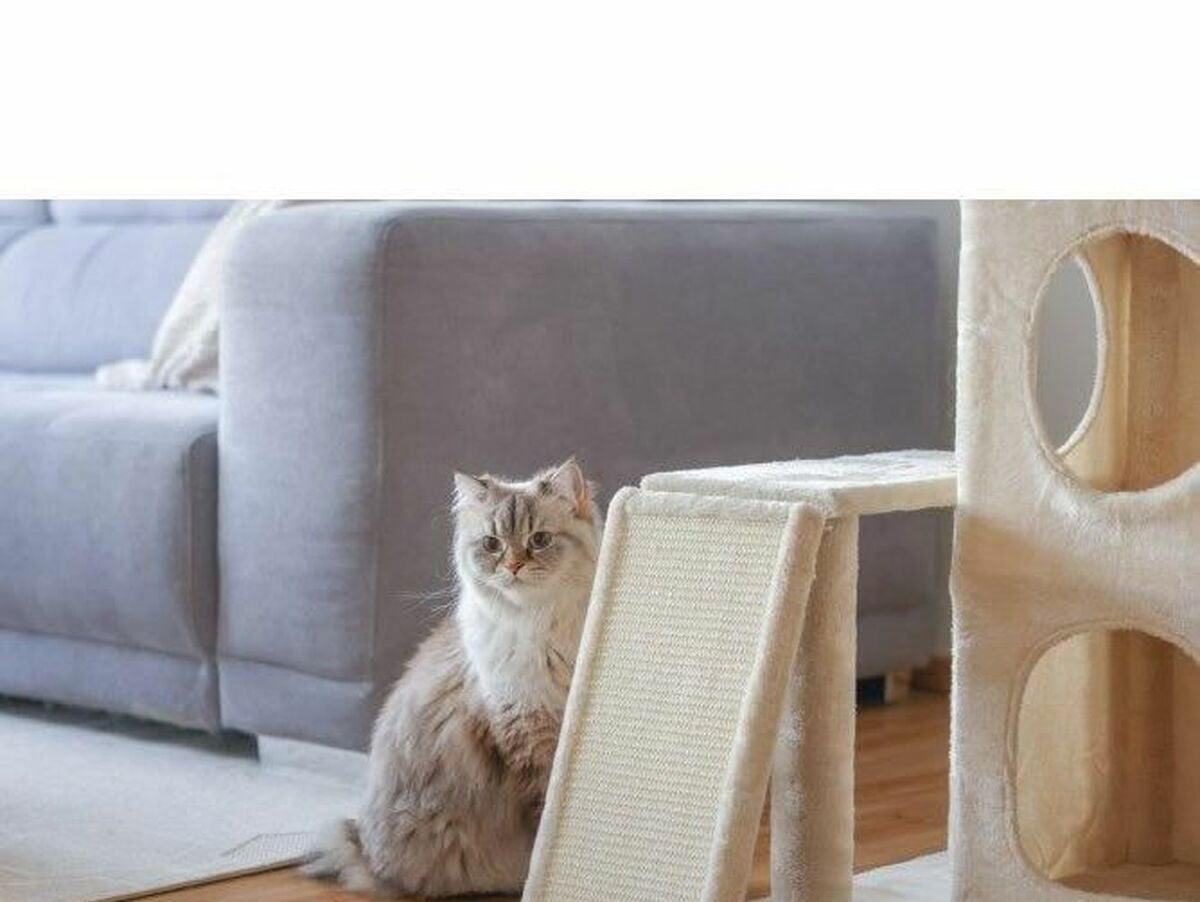 V6H981F7A8EB8361AAA6B2952D4721449BCR4896633P3