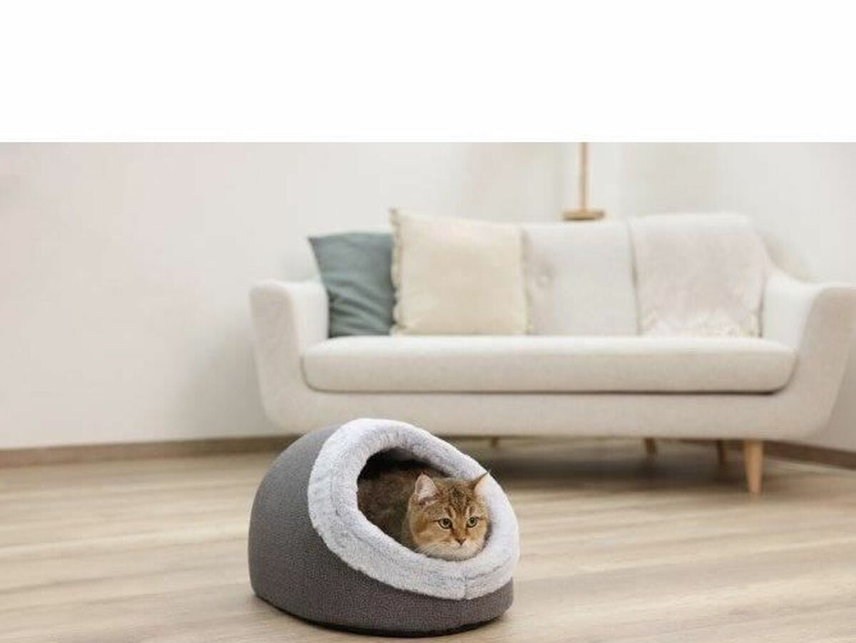 V7H336B96E1E34EE039A47F539A189B153FR6606219P3