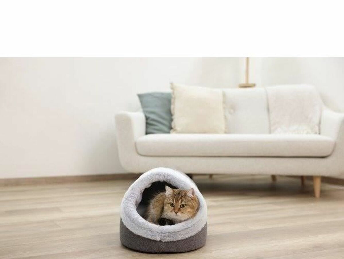 V7H56F8B1D1282794CBCF2188F2D756AFE7R6606222P4