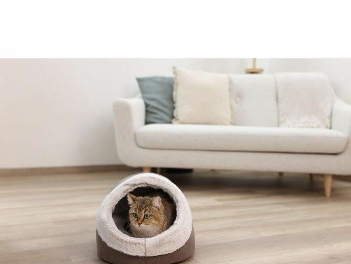 V7HE9985A644A8CE6D2BDF2ECEF7B40961FR6606272P3