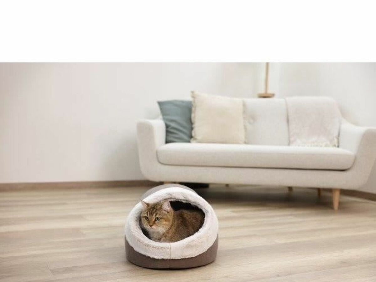 V7H469F93B03426ED91089A2F363EB740E3R6606275P4