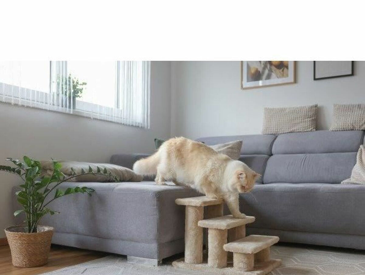 V6H77A6193849FC3920F2D774D669B03920R6382839P3