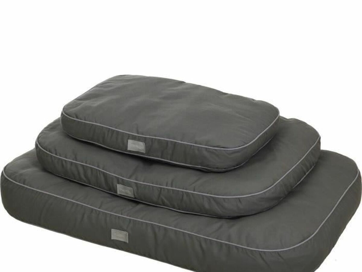 V2H62FB4481915D4CE3693C257725C6E45DR7030812P5