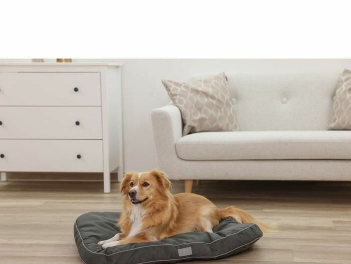 V2H01DDA7B3A50385356907F6C5A2E2ADB1R7030813P6