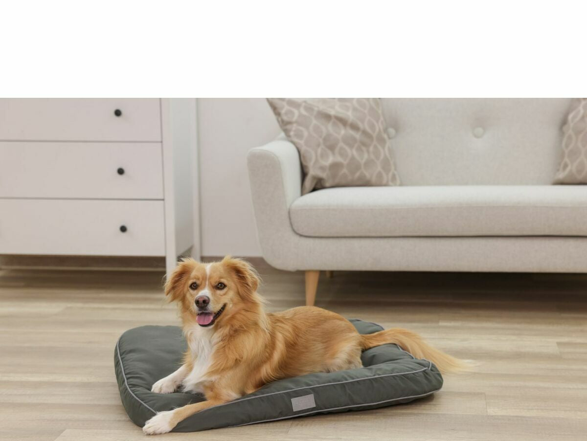 V2H2A2391A5FF8DFE8E746AE16B58E1FD0AR7030817P10