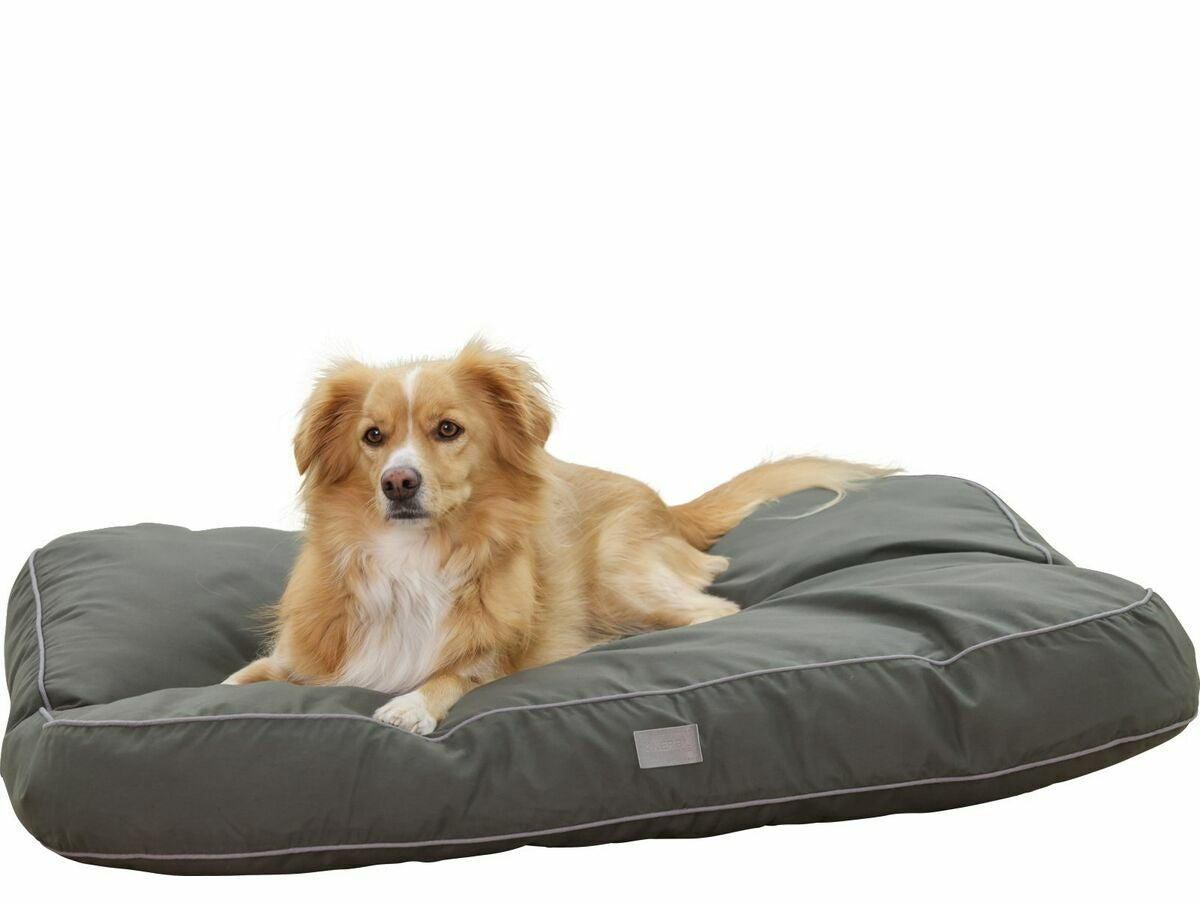 V2H901520B67C46A1E6E547900FC6D8AAB3R7030718P4