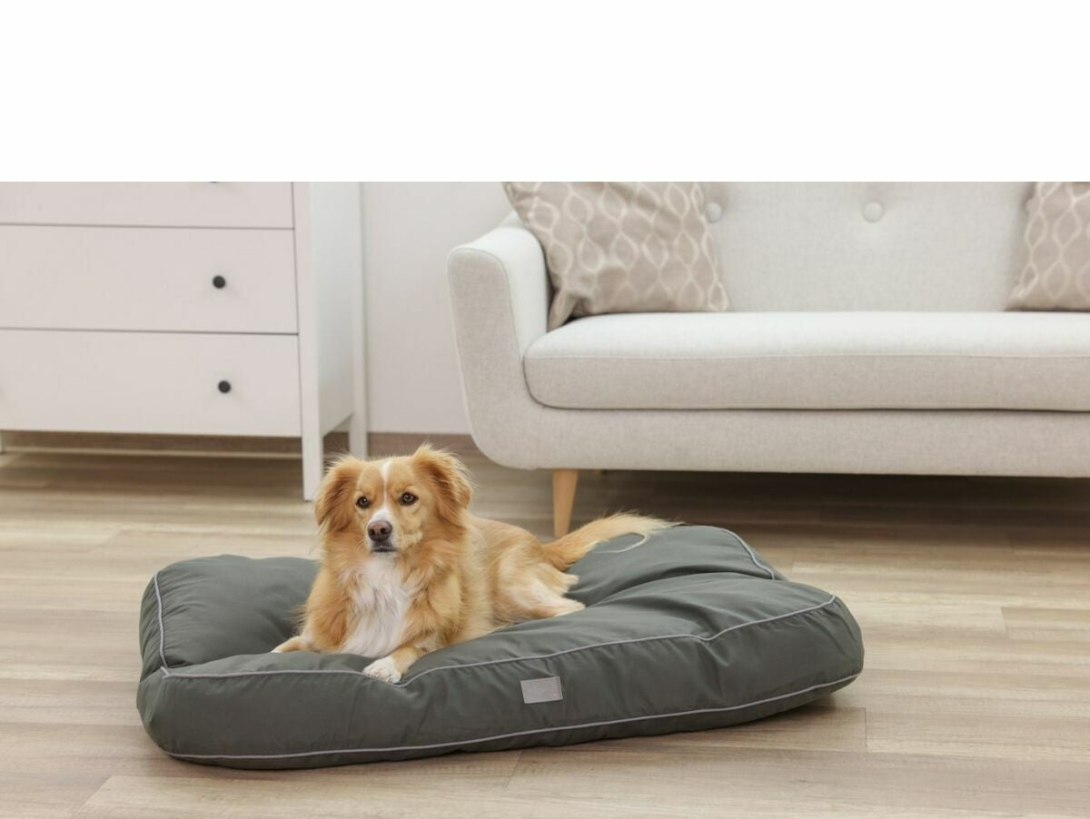 V2HF4C55ED70E73B9A4316F146DC31C87FAR7030720P5