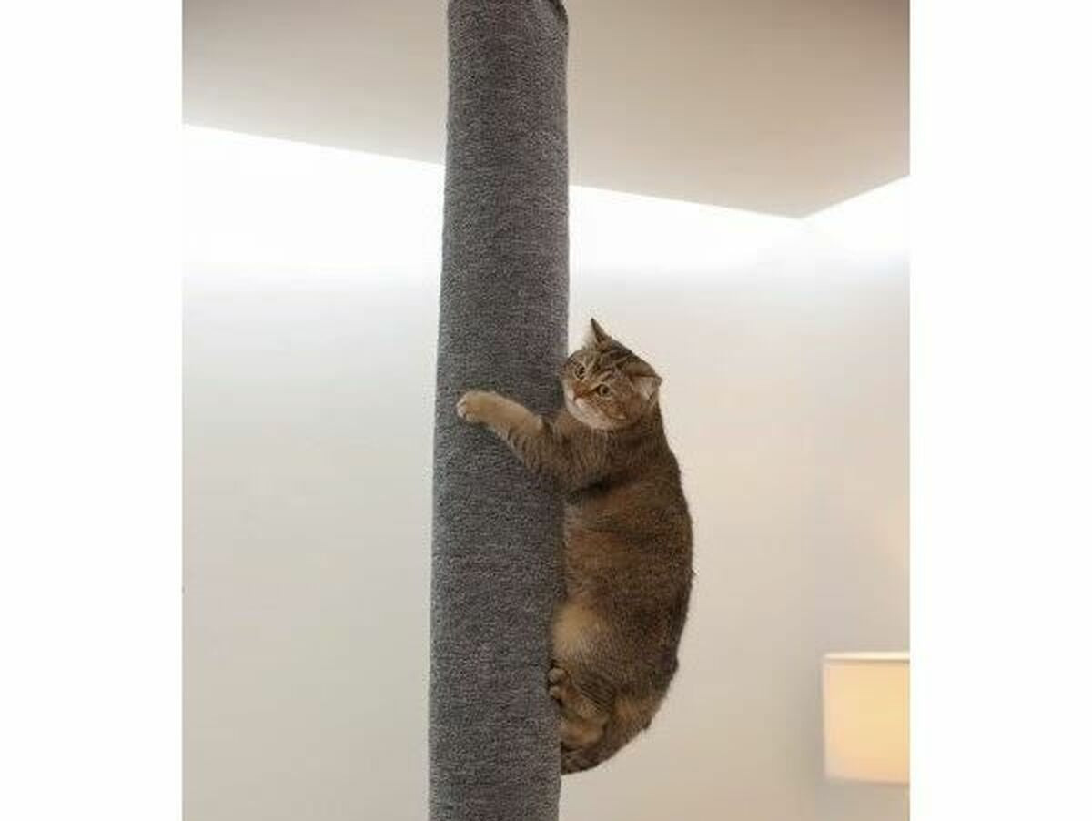 V7HD52EA192F2CFF913287AE15062B1907DR4896822P2