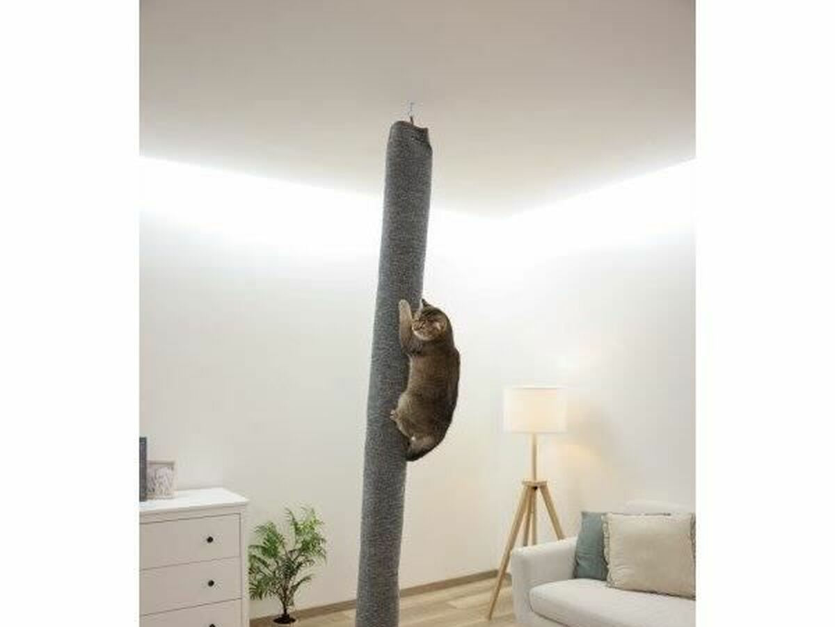 V7H02E354837984F2E56513E663766AE613R4896826P6