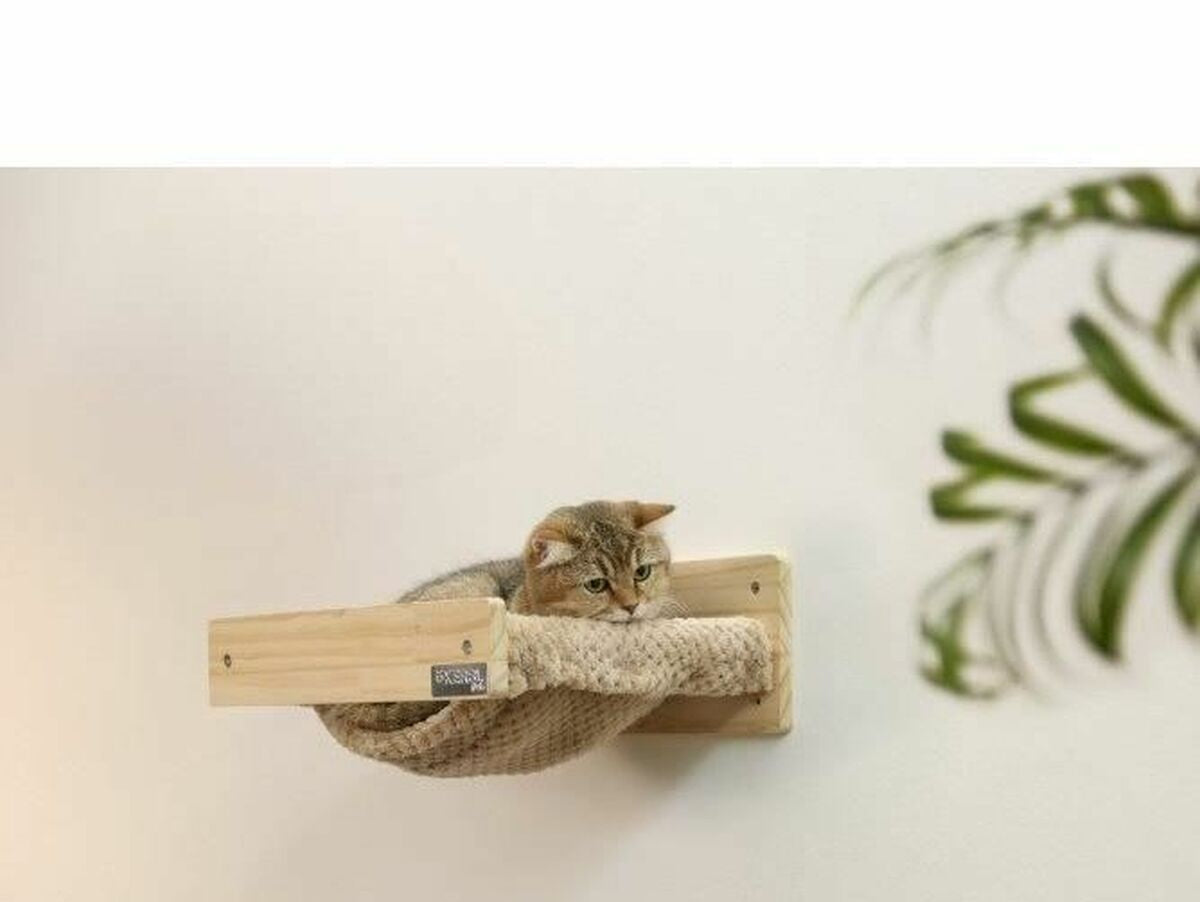 V8HF135B1EF27B5709F34D0AC110A4C910FR6607403P2