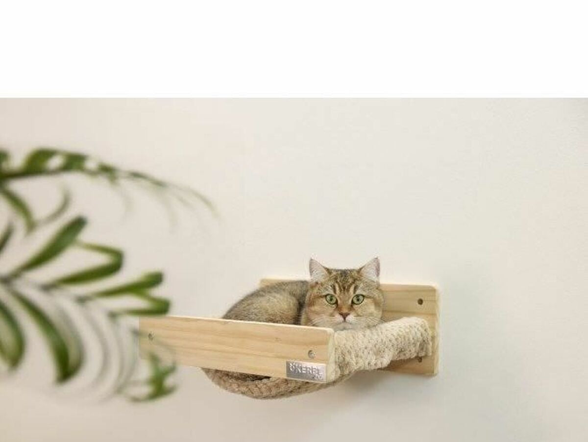 V8H9AF739CF3EF41F71EC0C5C270E976B8ER6607404P3