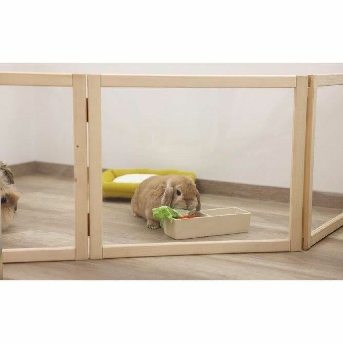 V7H501274773B82192C049D0A164856CE46R7600247P10