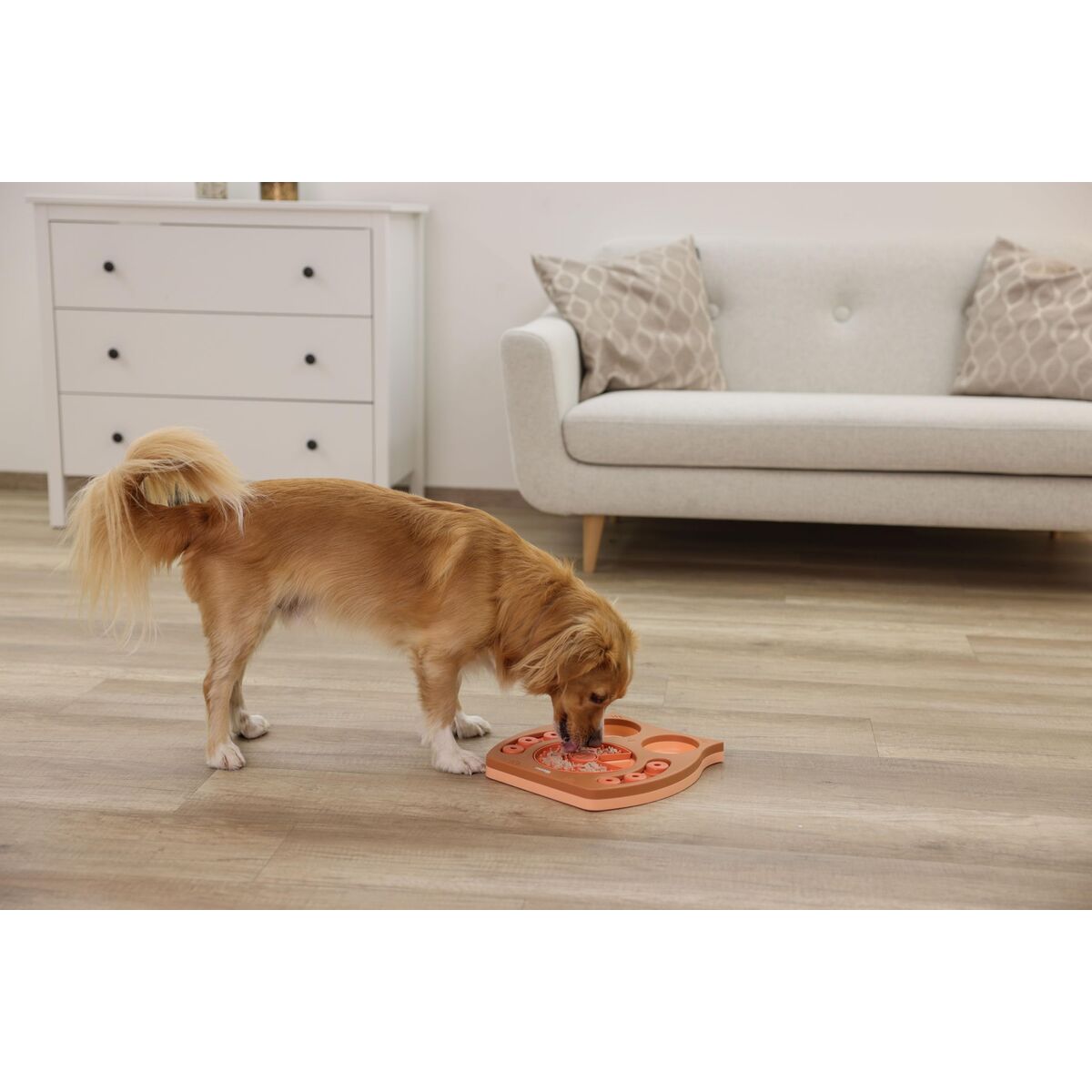 V2H22CFC0E660D09E900C515284A761FA34R7467650P9