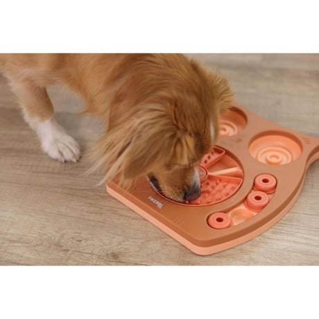 V2H2DD0C4413E4B1E2272B02BFAA917F176R7467652P10