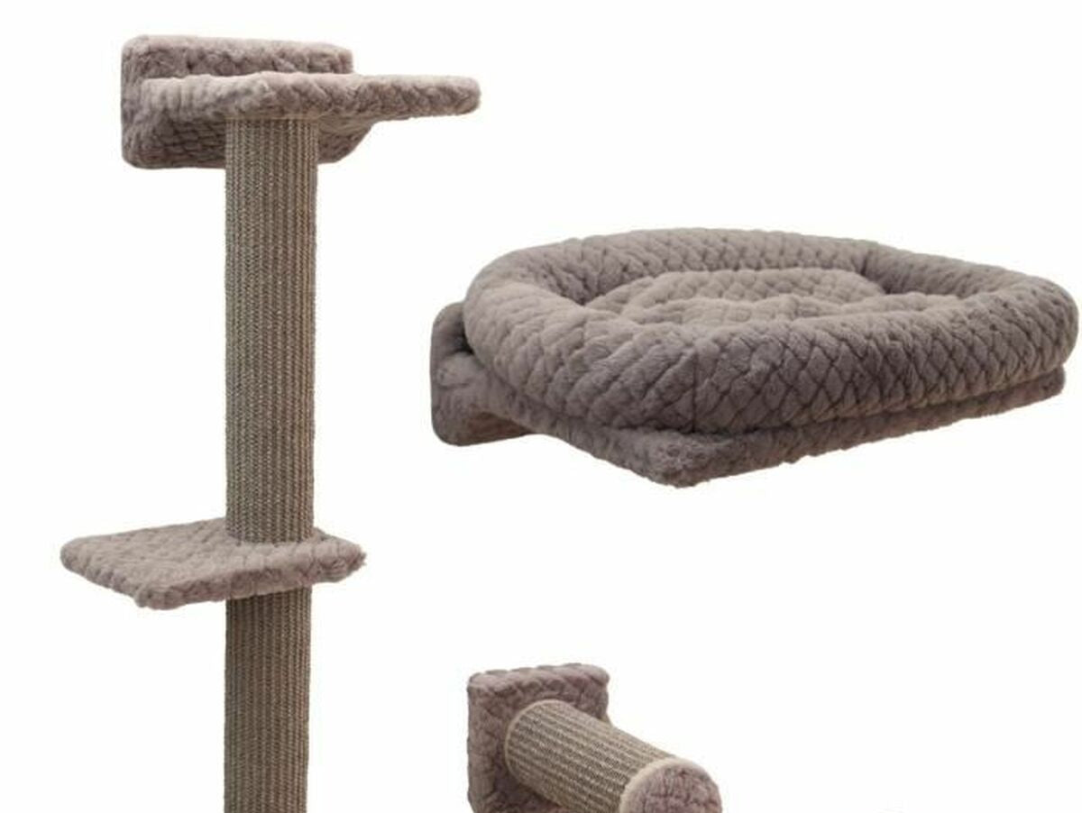 V5HC4CBA68DC6D605D970C95A73C682381CR7096245P1