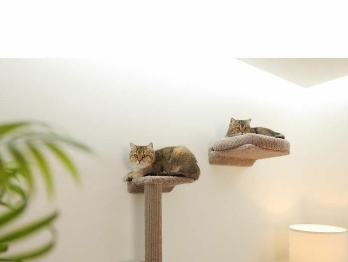 V5H860C30B53DB27F02C1A607DF51D034DBR7096263P5