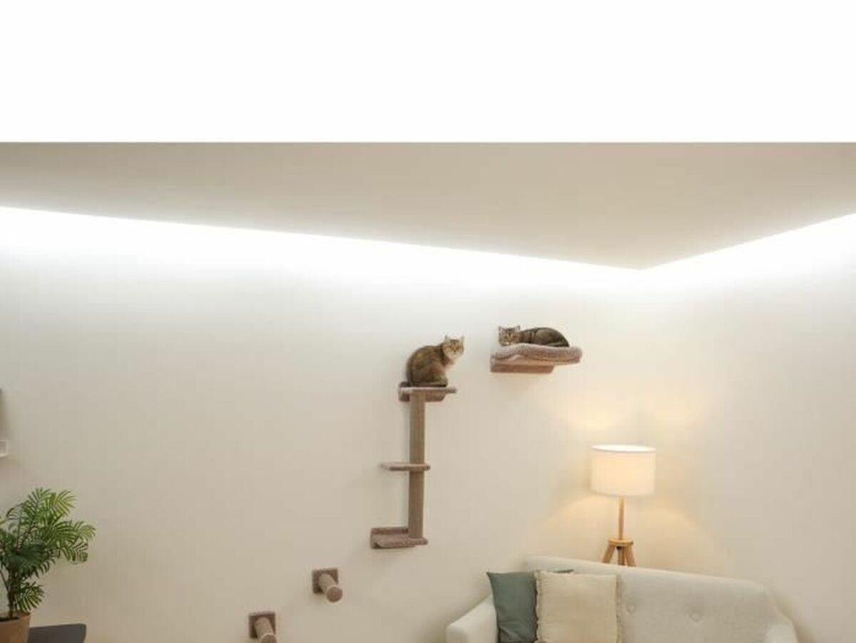 V5HE21B32E18AE2B18484F995E662C5AB44R7096267P6