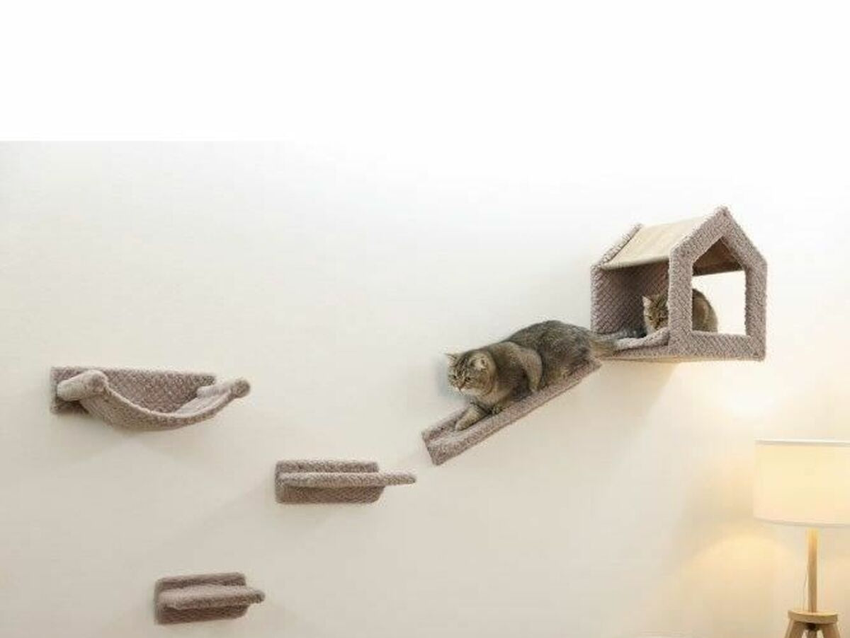 V6HA241B92CBCBBD23A772BF1702F44D93ER5467990P6