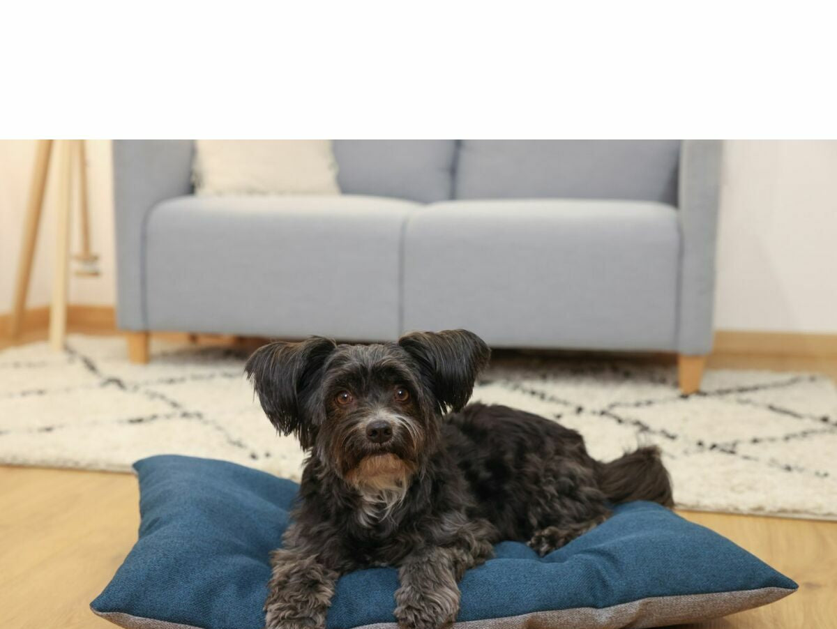 V2HC27C5DAD166F420EA3E00C40D11BA72AR7030878P8