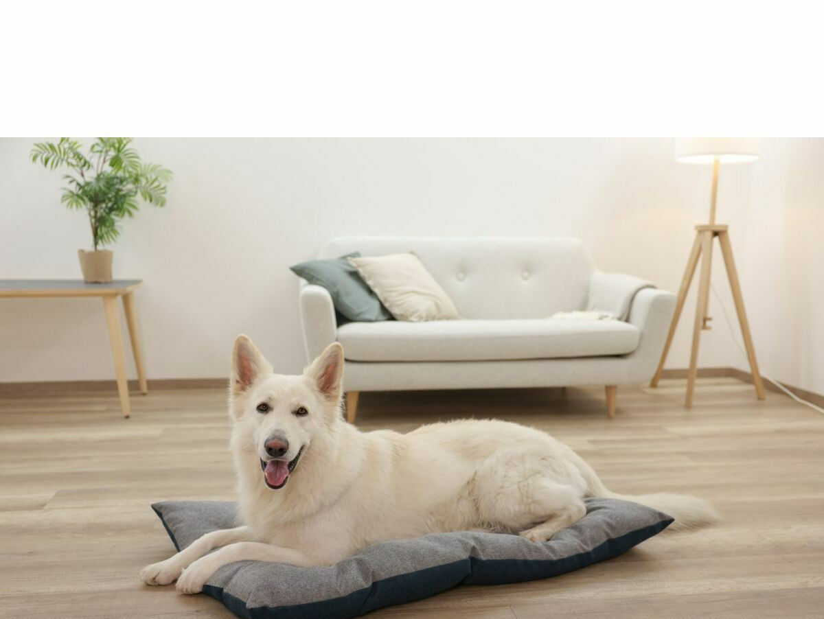 V2HD8267AF1E1C64E0335B4169DF270444CR7030896P9