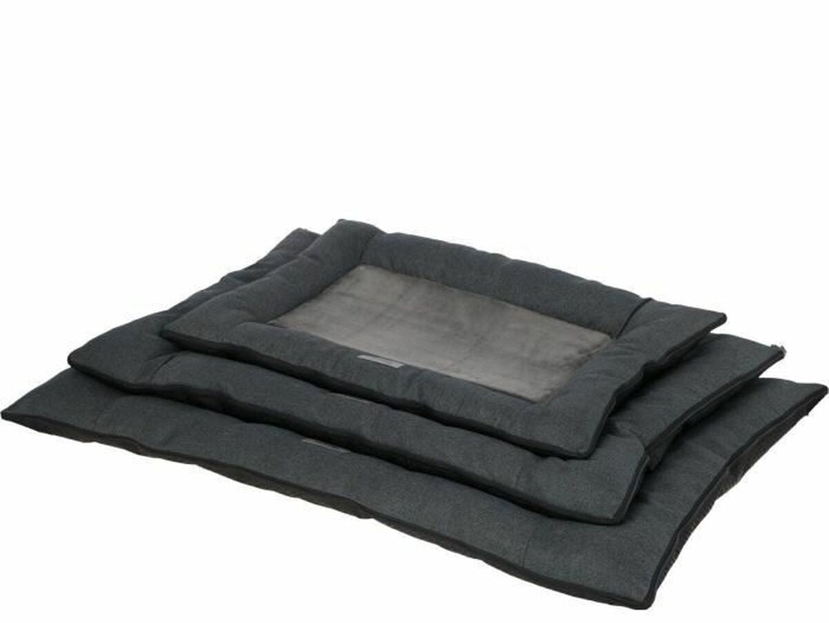 V2HEAD43D101FBAAABF5EBA97FFF54FFD29R7030826P4