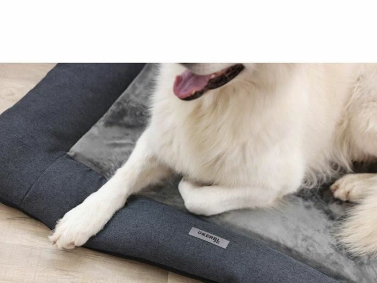 V2H3CBCAF3F347F470C9C96623C0C3FAAC0R7030827P5