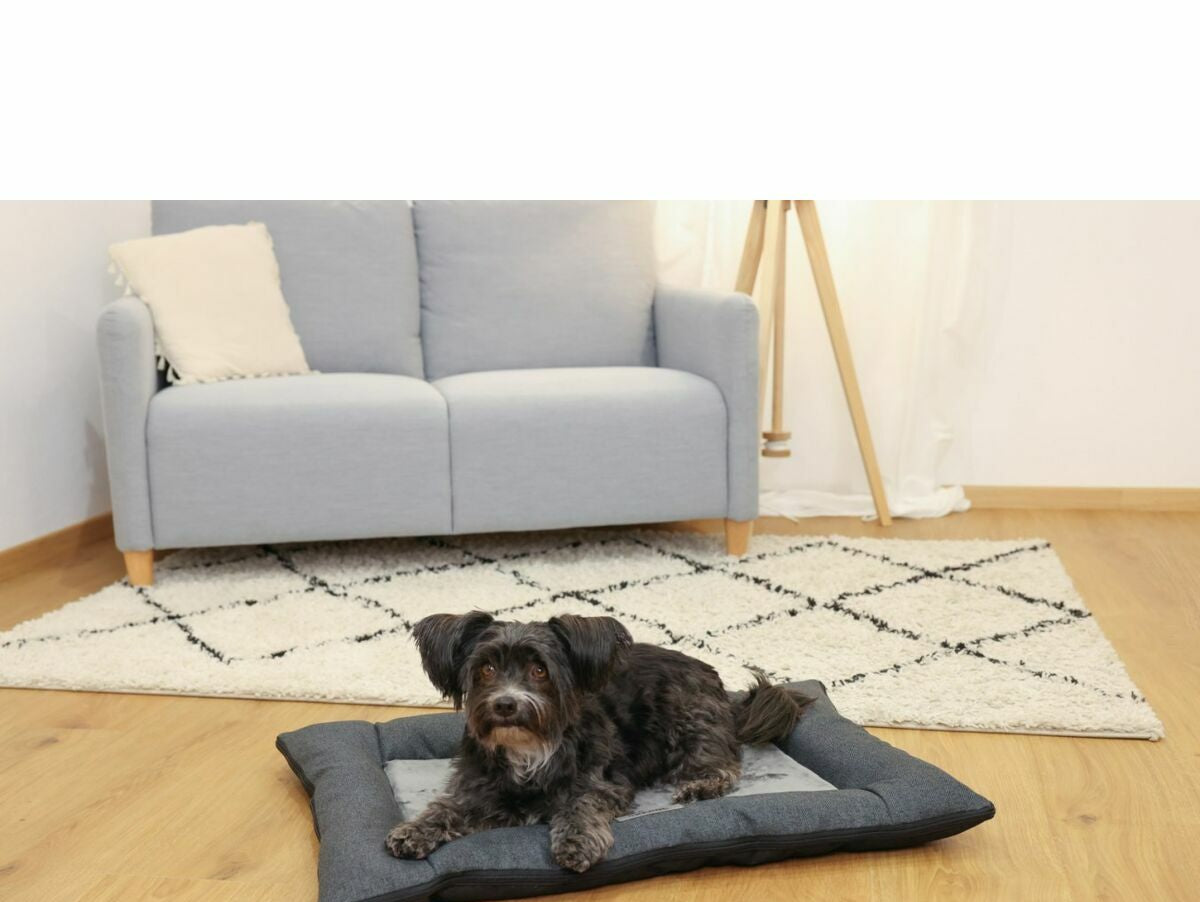 V2H77FA5E0CCF66431217E882DCF6576247R7030830P8