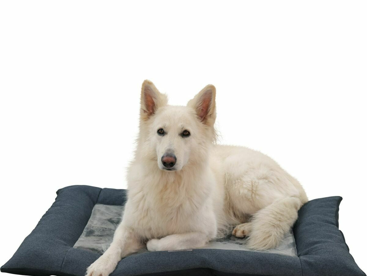 V2HC27047FA0E88D20DB4149A56F3581D94R7030832P10