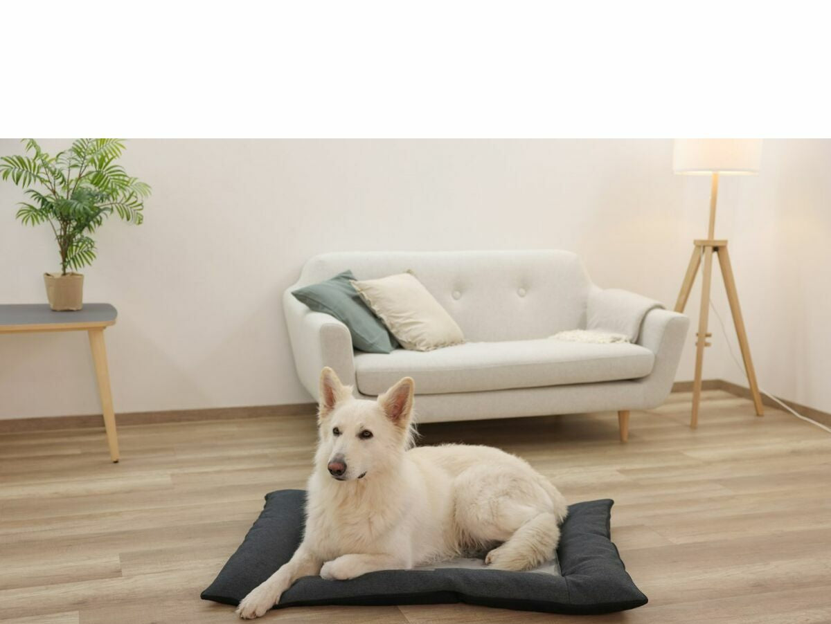 V2H60657312F3B8363C2C121047ED3D126CR7030848P6