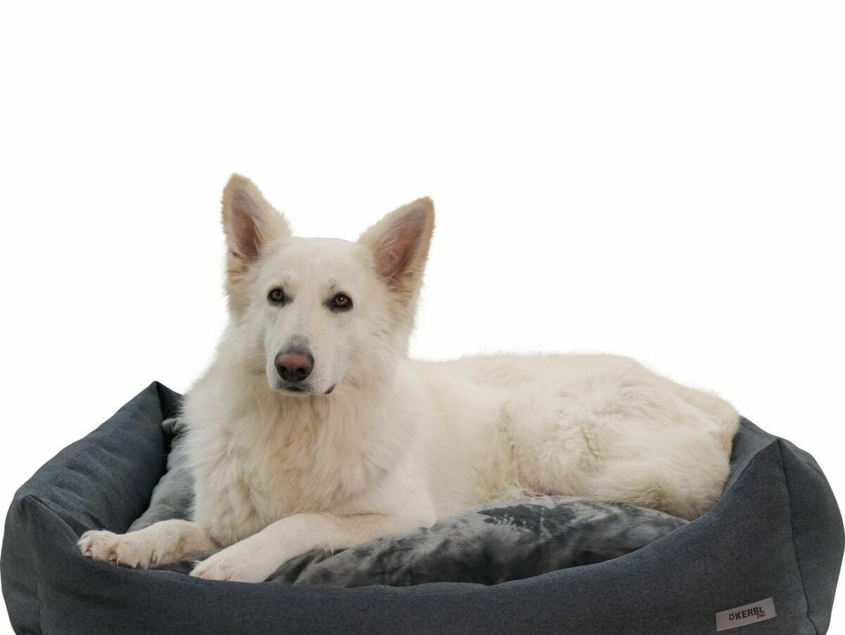 V8HEE15CCEB89A0CFA8C943C86CC160893AR6623268P4