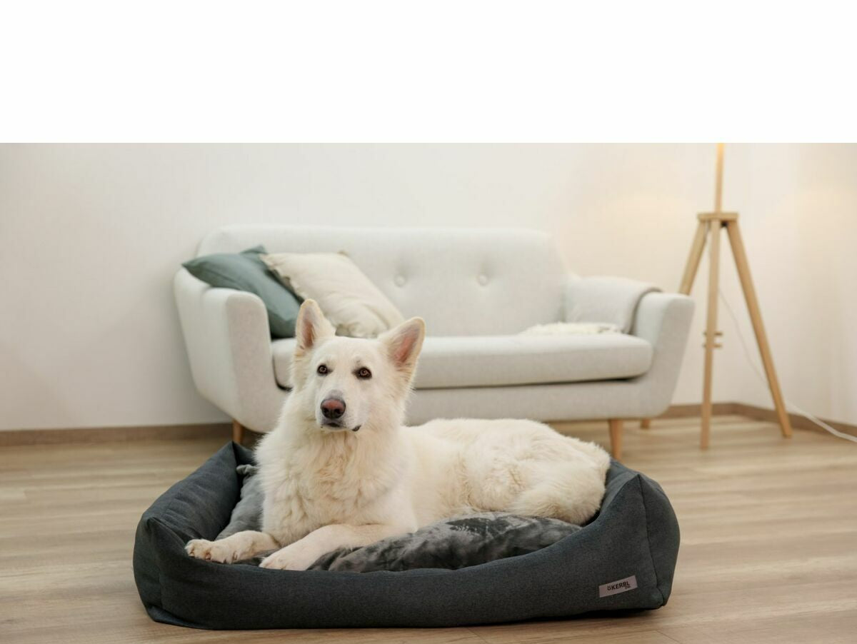 V8HC5BC494346F434608C22B49DC38CEFAAR6623270P5