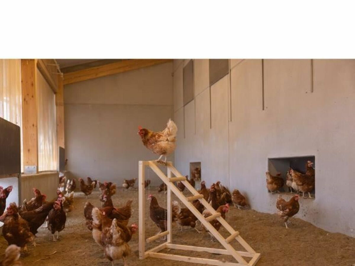 V5H2B7FF2D08B47269FE2BCF3F95EFE79FFR6844307P3