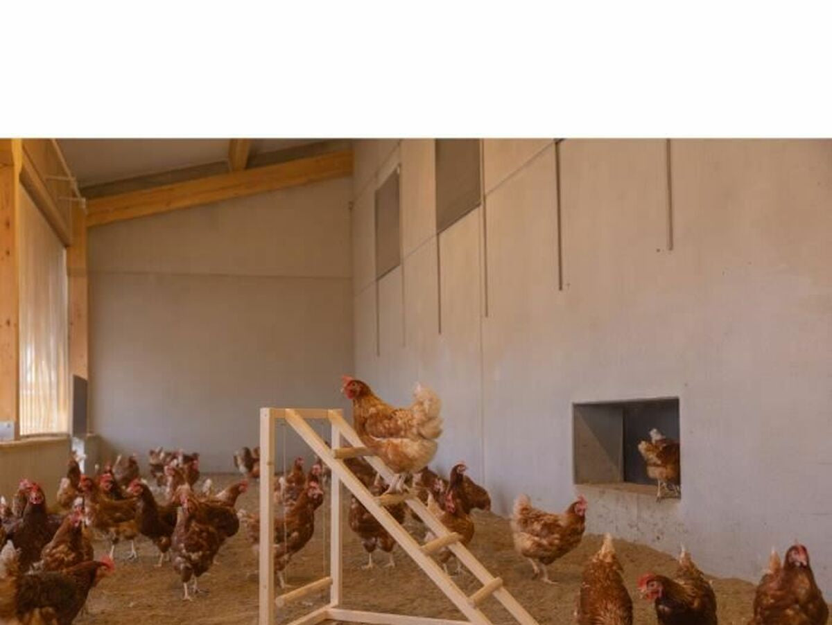 V5H17BBB9CC573845DF613D232911796951R6844311P4