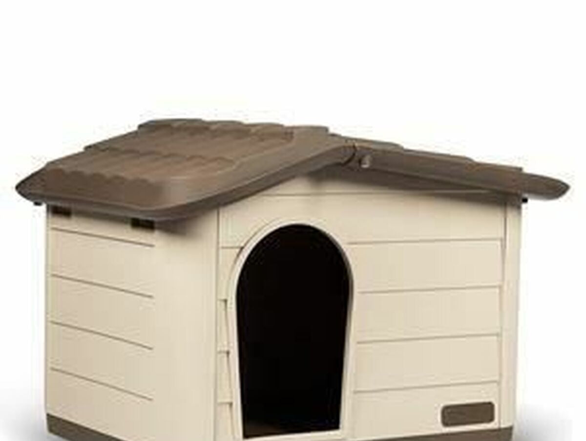 V6H74B99F921F874C4C82D24C52D04B2F36R5568326P1